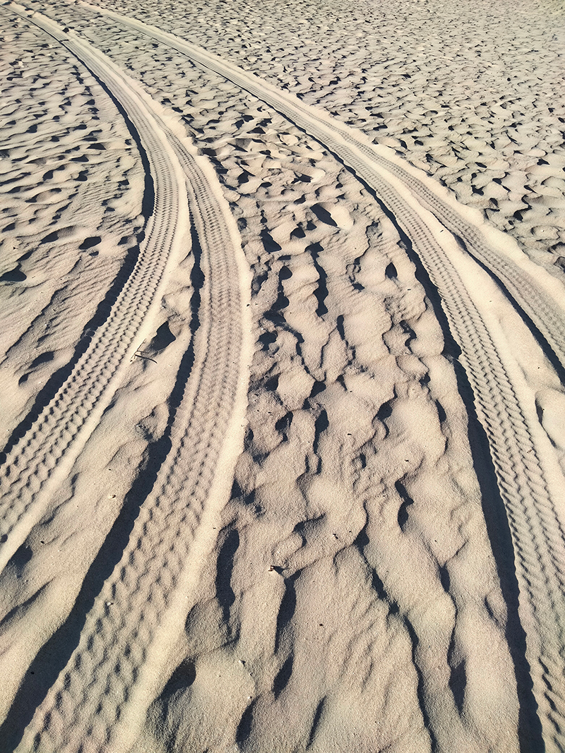 Tracks in the sand