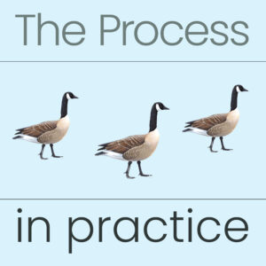 The Process in practice