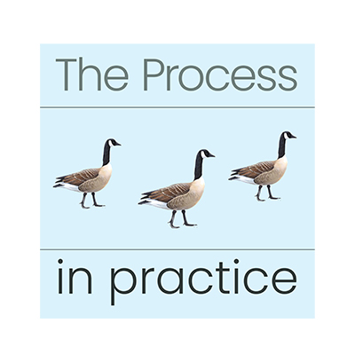 Process in Practice