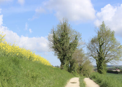 French Retreat walk