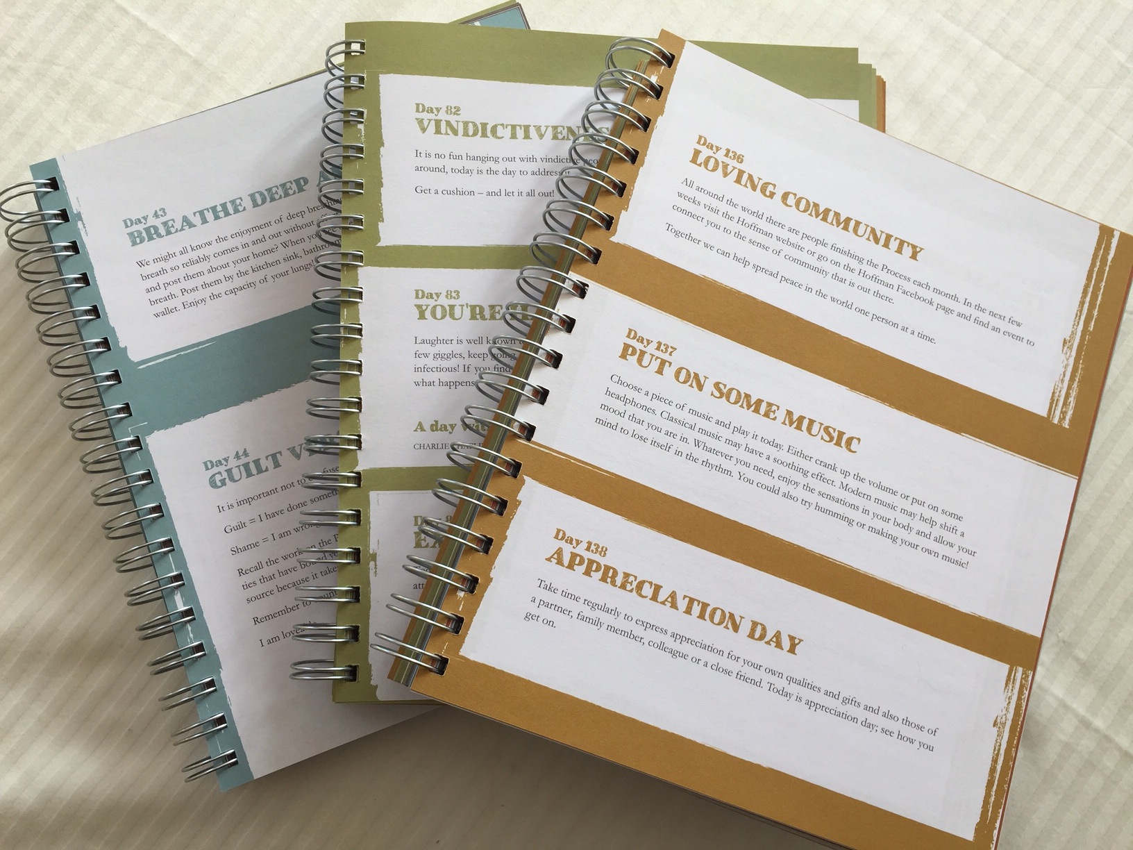 The Hoffman graduate journal