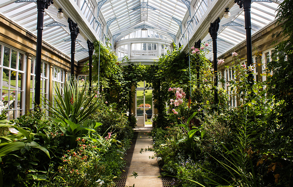 Hoffman - Broughton 7